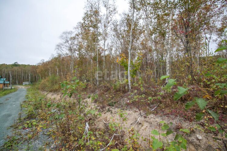 Фото из объявления