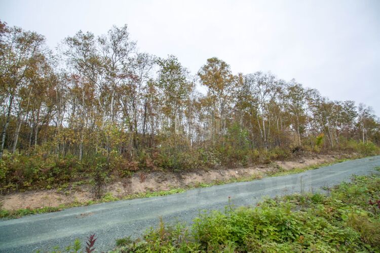 Фото из объявления