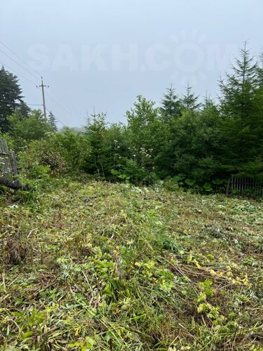 Фото из объявления