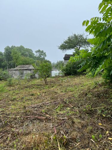 Фото из объявления