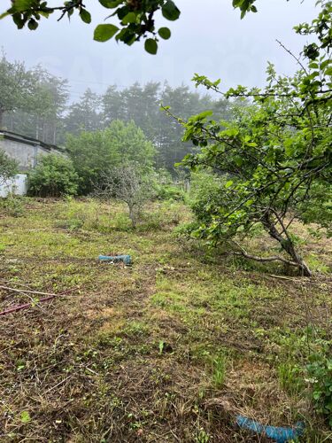 Фото из объявления