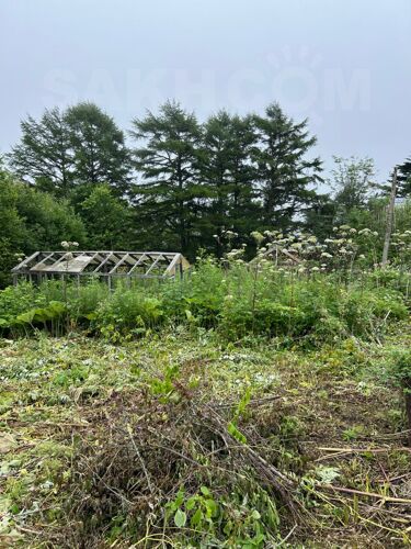 Фото из объявления