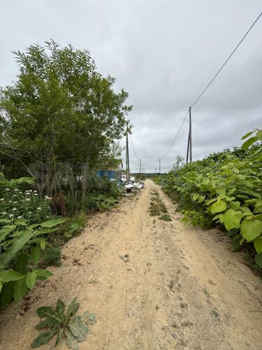 Фото из объявления