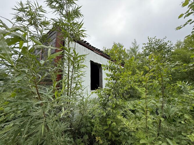 Фото из объявления