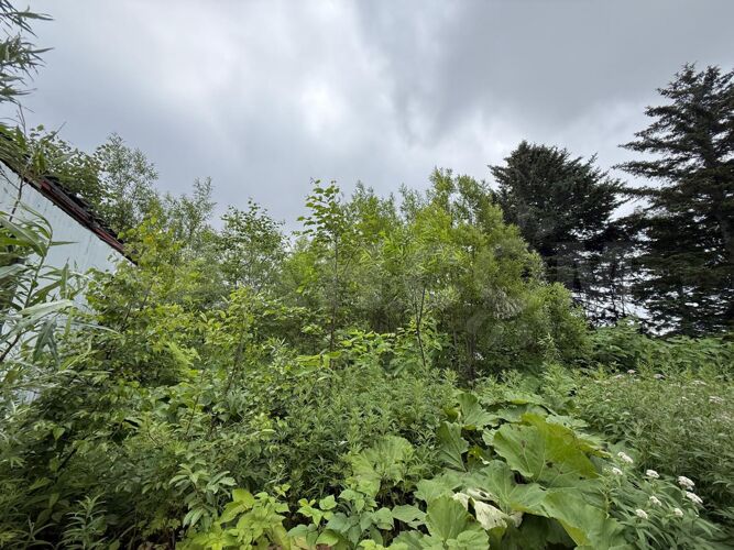 Фото из объявления