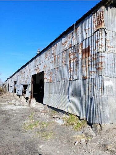 Фото из объявления