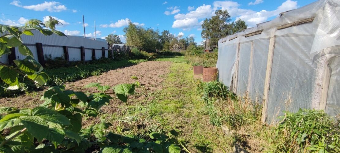 Фото из объявления