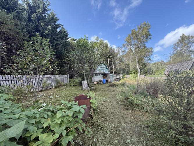 Фото из объявления