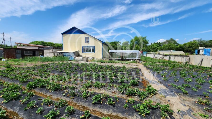 Фото из объявления