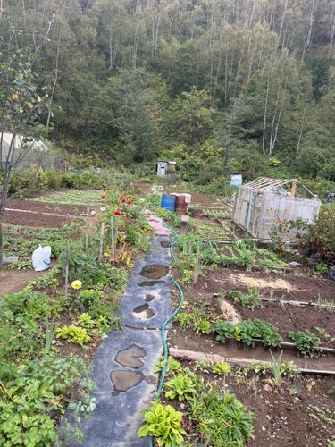 Фото из объявления