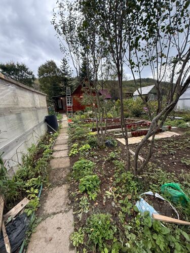 Фото из объявления