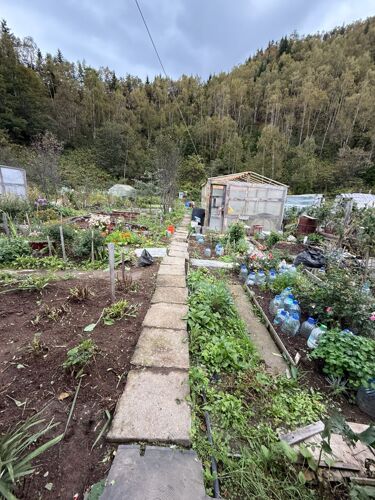 Фото из объявления