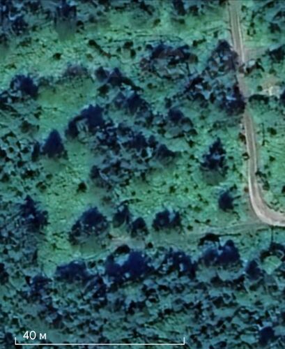 Фото из объявления