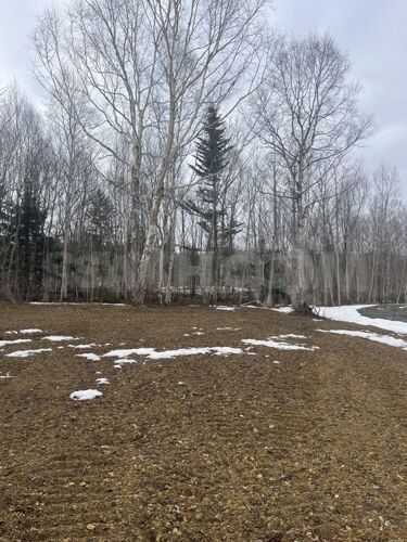 Фото из объявления