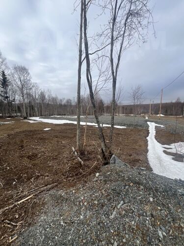 Фото из объявления