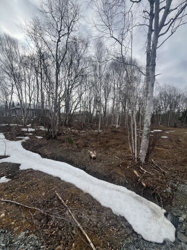 Фото из объявления