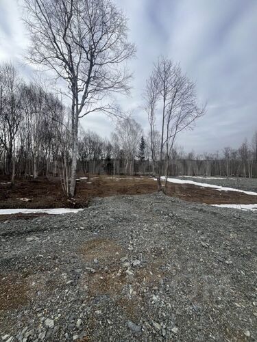 Фото из объявления