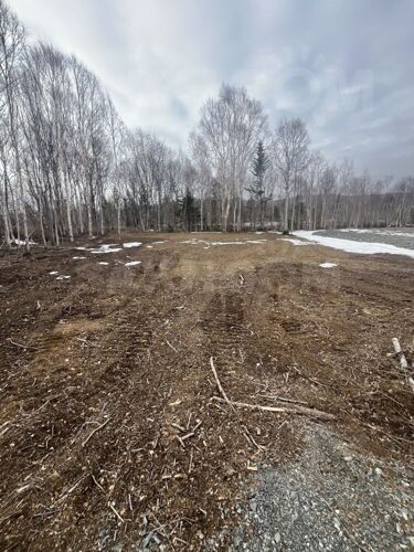 Фото из объявления