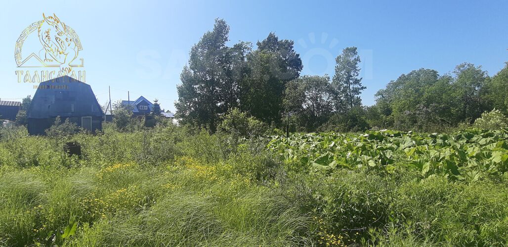 Фото из объявления