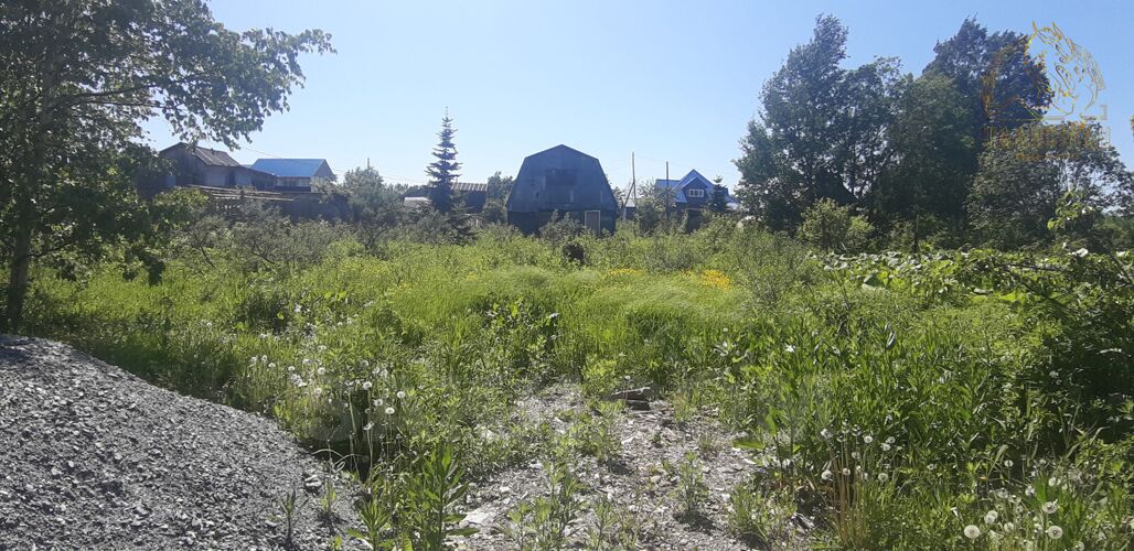 Фото из объявления