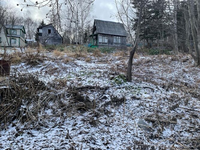 Фото из объявления