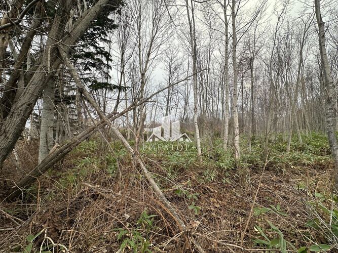 Фото из объявления