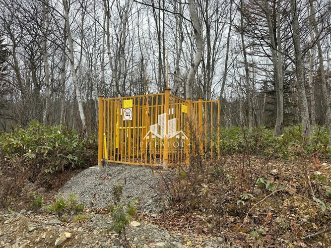 Фото из объявления