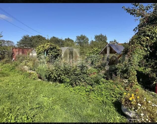 Фото из объявления