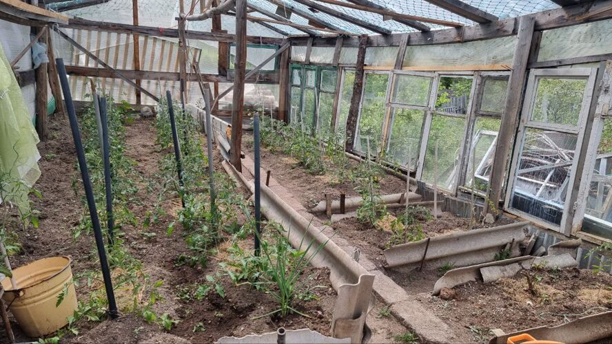 Фото из объявления