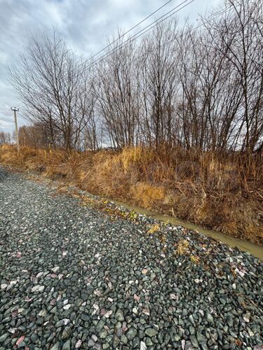 Фото из объявления