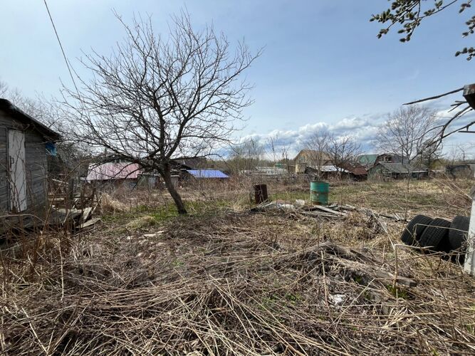 Фото из объявления