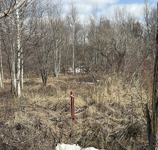 Фото из объявления