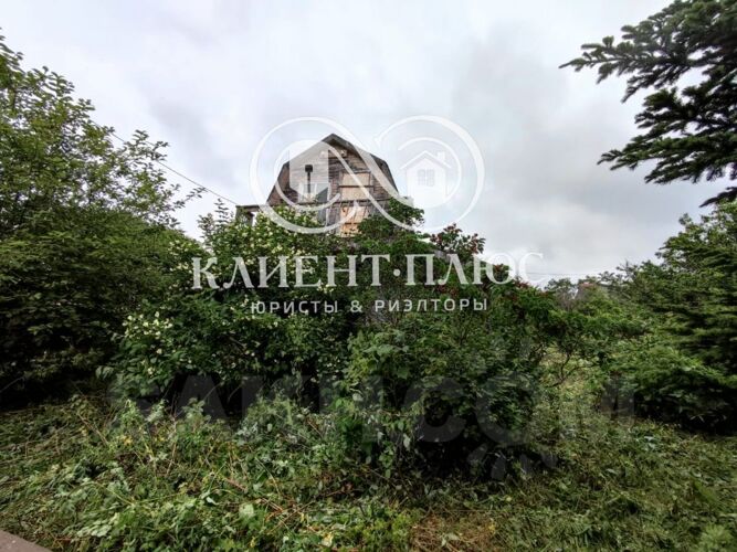 Фото из объявления