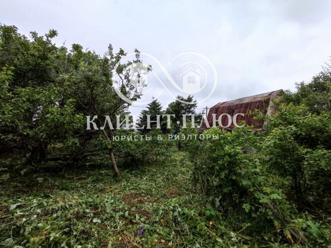 Фото из объявления