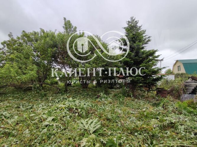 Фото из объявления