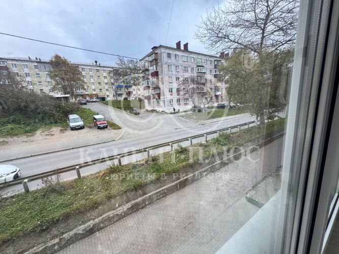 Вид из окна