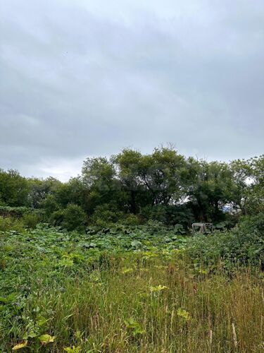 Фото из объявления