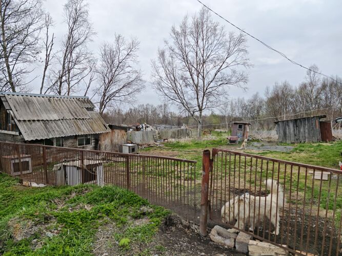 Фото из объявления