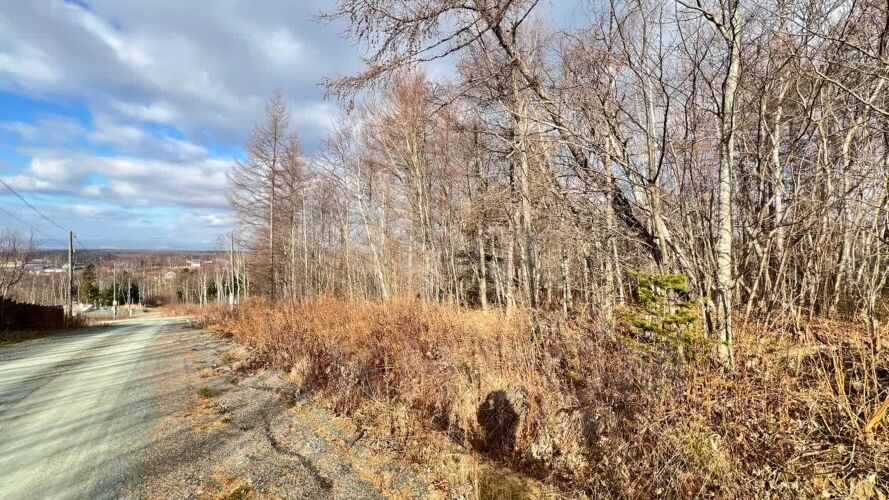 Фото из объявления