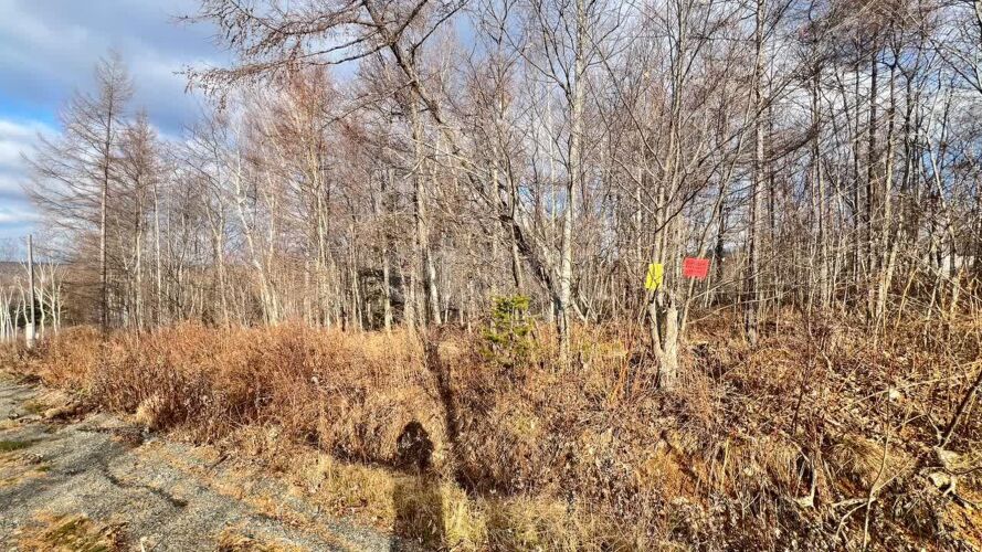 Фото из объявления