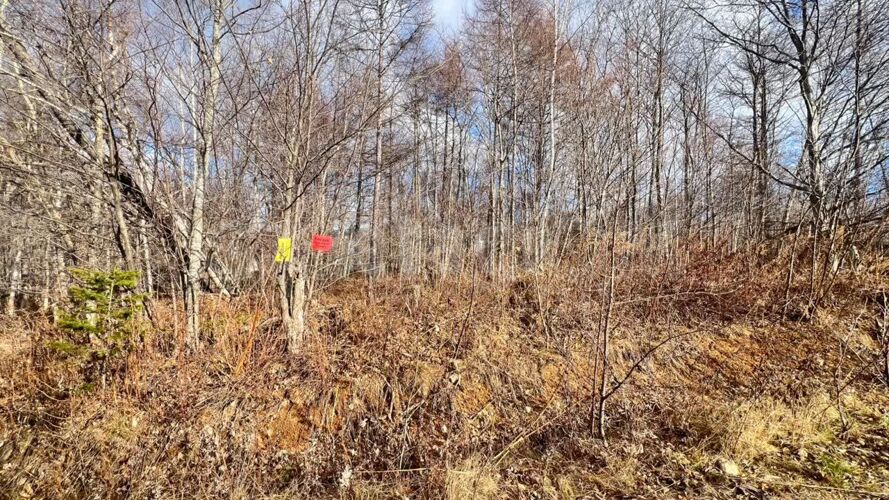 Фото из объявления