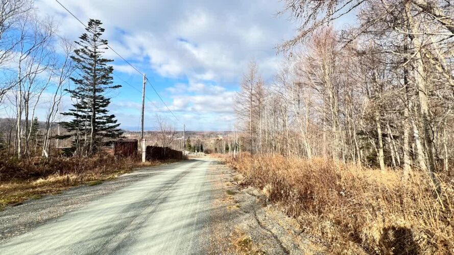 Фото из объявления