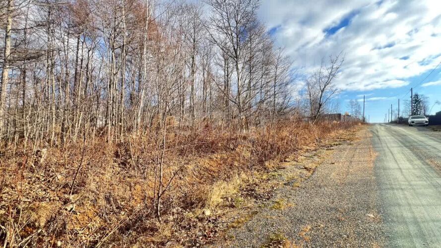 Фото из объявления