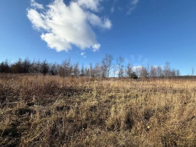 Фото из объявления