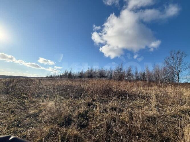 Фото из объявления