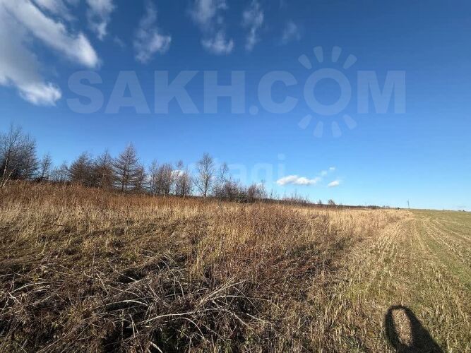 Фото из объявления