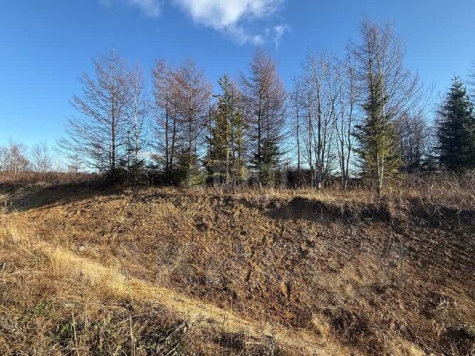 Фото из объявления