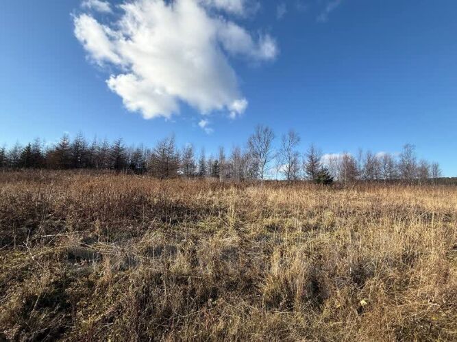 Фото из объявления