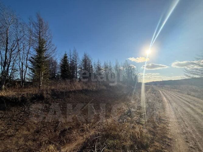 Фото из объявления