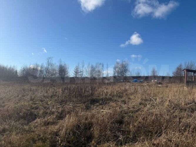 Фото из объявления